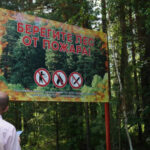 Более 116 миллионов рублей будет направлено в 2026 году на реализацию социально значимых проектов в Новосибирской области