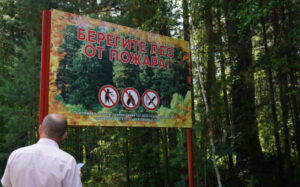 Более 116 миллионов рублей будет направлено в 2026 году на реализацию социально значимых проектов в Новосибирской области