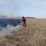 Оперативные данные: с начала пожароопасного сезона в регионе возникло 29 лесных пожаров