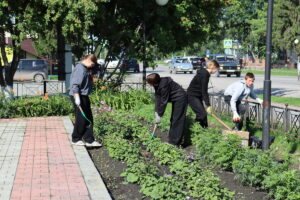 Первый трудовой опыт получат подростки Венгеровского округа