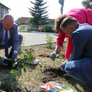 Кусты роз из Донбасса: символ единства и поддержки появился на аллее центра «Защитник»