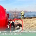 В 17 из 44 лесных пожаров виноваты жители Новосибирской области