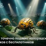 Нейросеть борется с колорадским жуком на полях Новосибирской области