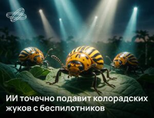 Нейросеть борется с колорадским жуком на полях Новосибирской области