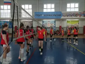 Миллион рублей заплатят “Земскому тренеру” в Новосибирской области