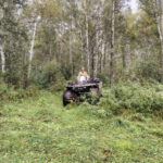 В Новосибирской области усилено патрулирование лесов в связи с активностью медведей