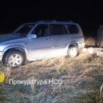 По 500 тысяч рублей заплатят два жителя региона за незаконную охоту