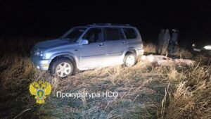 По 500 тысяч рублей заплатят два жителя региона за незаконную охоту