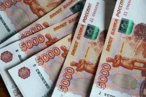Новосибирские матери-героини получат миллион рублей автоматически в 2027 году