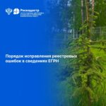 Как исправить реестровую ошибку, рассказали новосибирцам