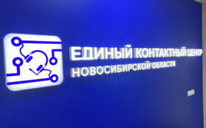 Новосибирцы могут обратиться по вопросам избирательной кампании на горячую линию по номеру 110