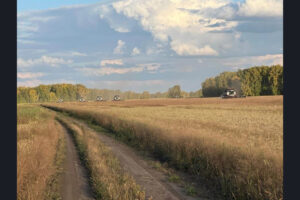 11 районов Новосибирской области завершили уборку зерновых и зернобобовых