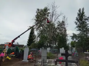 В Новосибирской области реализуются инициативные проекты