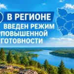 В регионе введён режим повышенной готовности из-за участившихся выходов медведей к населённым пунктам
