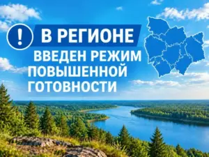В регионе введён режим повышенной готовности из-за участившихся выходов медведей к населённым пунктам